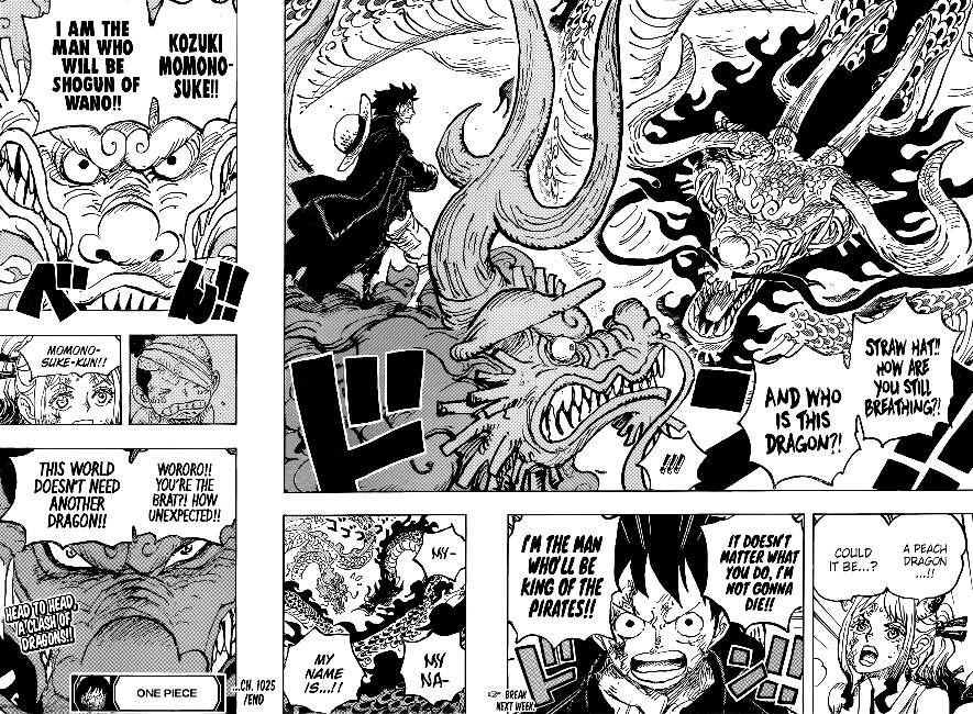 onepiece One Piece Manga